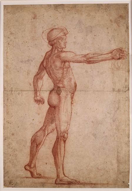 Homme nu casqué ; Études (verso) - Lucas SIGNORELLI