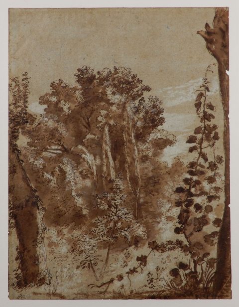 Arbres et feuillages - Claude GELLÉE, dit LE LORRAIN