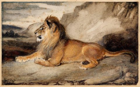 Lion couché tourné à gauche regardant avec fierté devant lui - Antoine-Louis BARYE
