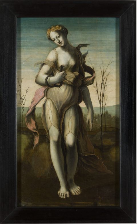 Cléopâtre - Domenico BECCAFUMI