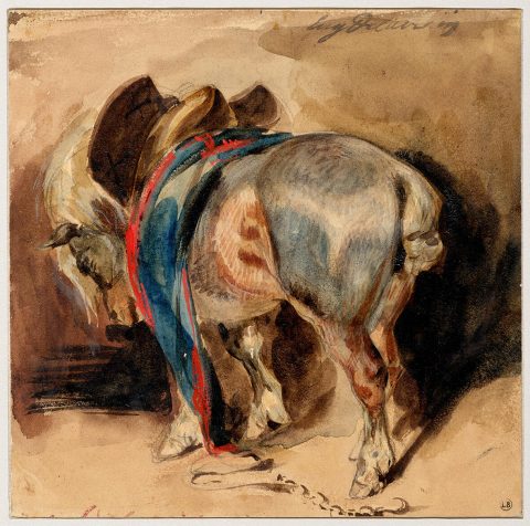 Cheval harnaché - Eugène DELACROIX