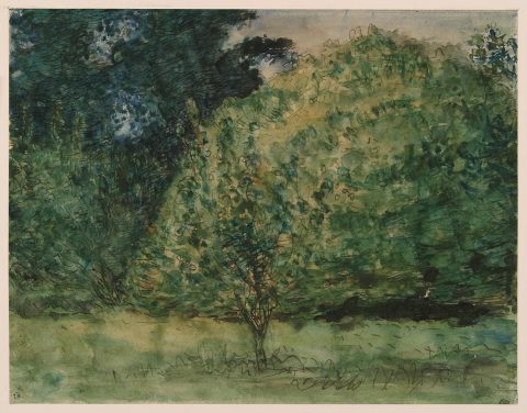 Lisière d'un parc avec pommier - Jean-François MILLET