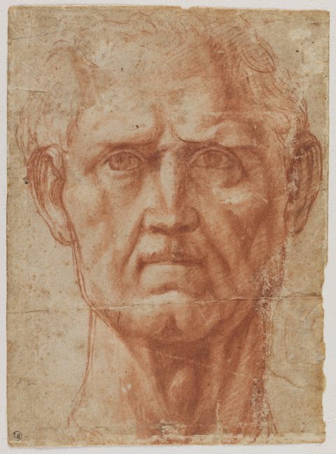 Tête d'homme, vue de face ; Tête de femme (verso) - Andrea d'Agnolo di FRANCESCO, dit Andrea del SARTO 