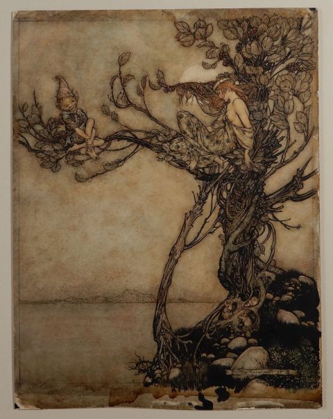 Femme et lutin sur un arbre - Arthur RACKHAM