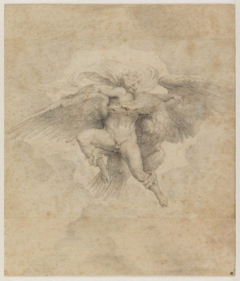 L'Enlèvement de Ganymède - Julije GLOVIĆ, dit Giulio CLOVIO ; Peter Paul RUBENS ; D'après Michelangelo di LODOVICO BUONARROTI SIMONI, dit MICHELANGELO