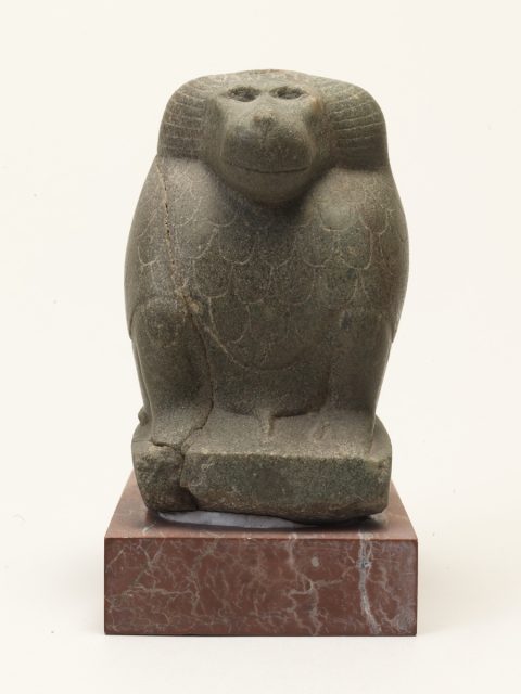 Le dieu Thot sous forme cynocéphale - Auteur non identifié