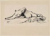 Emmanuel Frémiet, "Ours couché à côté d'un squelette humain", encre ; © Bayonne, musée Bonnat-Helleu / cliché A. Vaquero