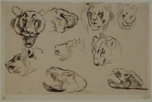 Études de têtes et crânes de félins ; © Bayonne, musée Bonnat-Helleu / cliché A. Vaquero