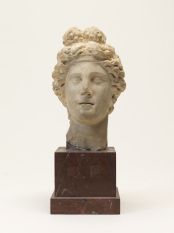 Tête de Dionysos (?) ; © Bayonne, musée Bonnat-Helleu / cliché A. Vaquero
